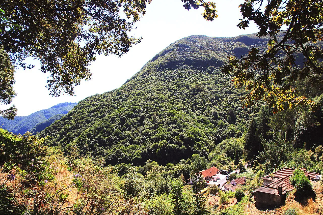 Madeira levada Ribeiro Frio Balcões