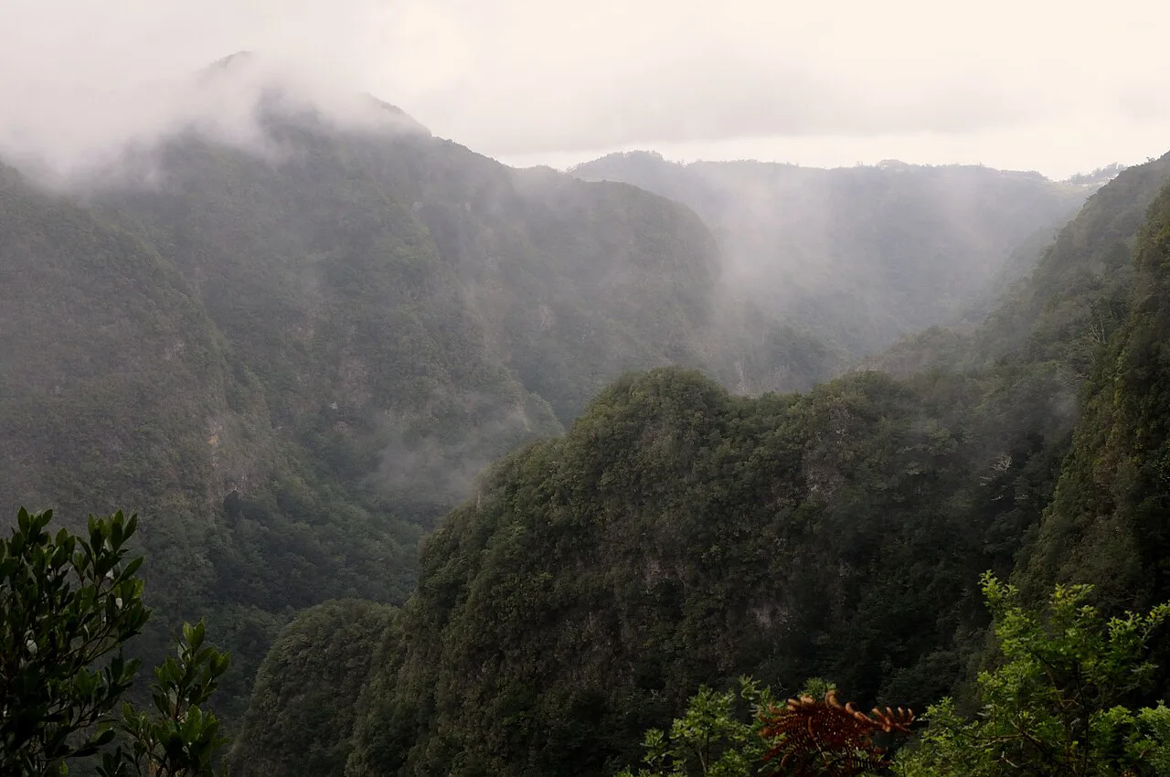LCV - Mountain landscape from Levada do Caldeirão Verde, Madeira