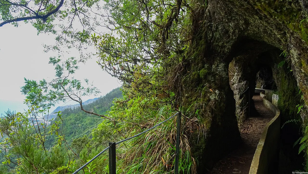 Levada do Furado (Ribeiro Frio) tunnels, Madeira
