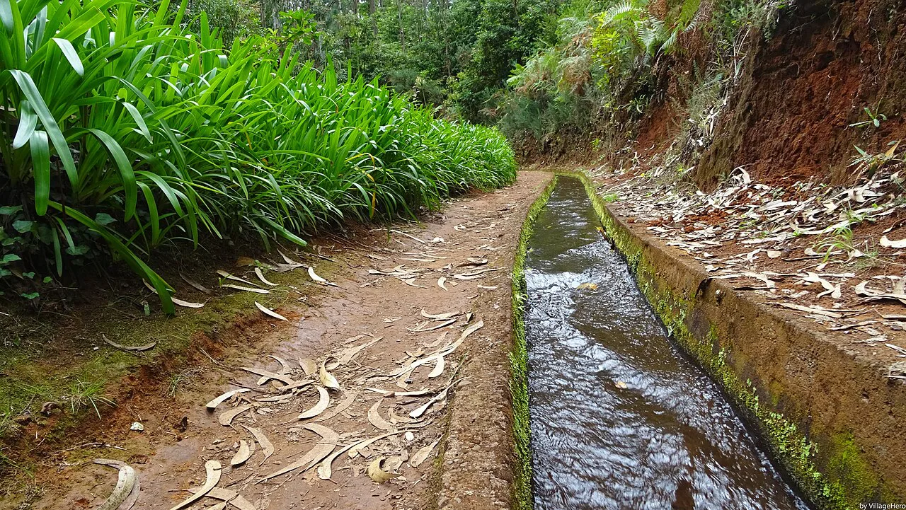Madeira landscape, Portugal
