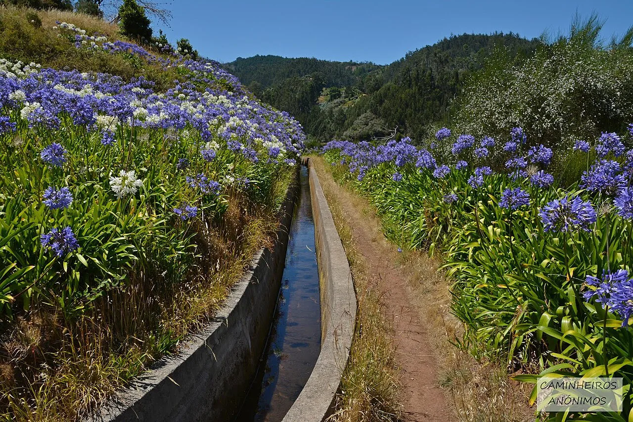 Levada dos Tornos, sítio das Eiras Velhas, Madeira