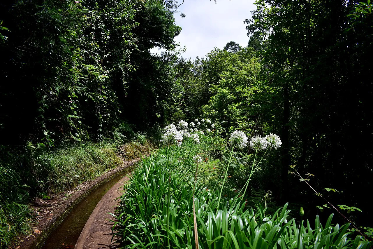 Levada, Madeira