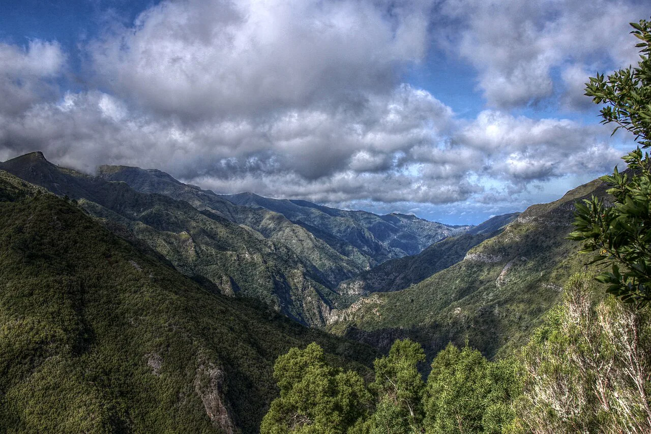 Madeira - Levada das 25 Fontes walk - Mountain and cloud