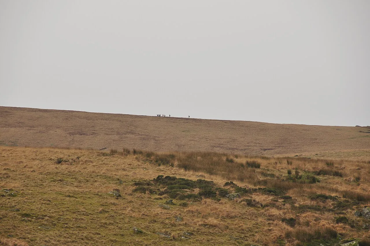 Hikers near Higher White Tor, Dartmoor