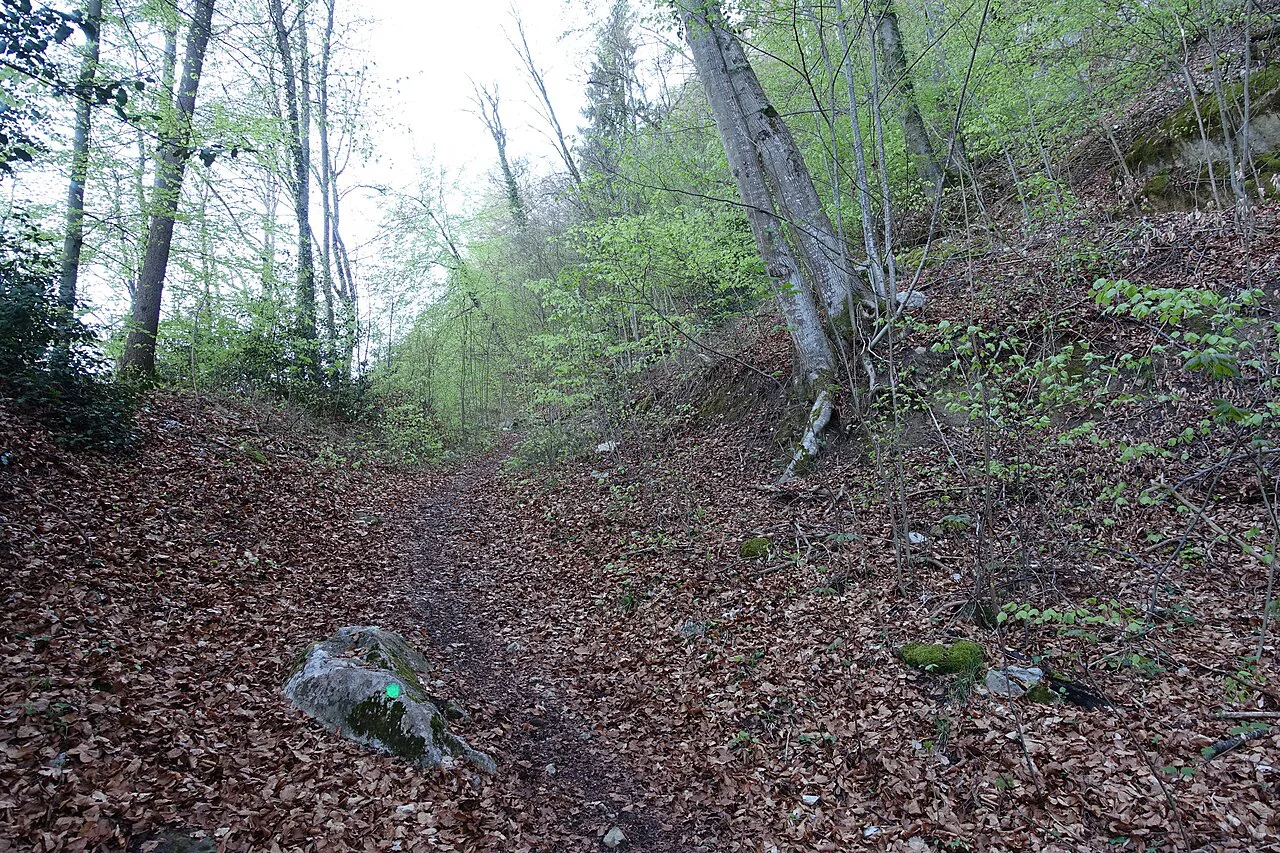 Hike to Mont Veyrier & Mont Baron, Annecy