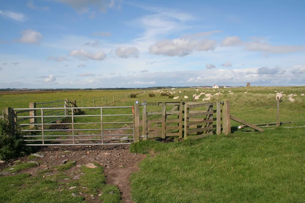 Gate on the Northumberland Coast Path - geograph.org.uk