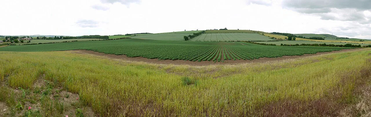 Flodden Battlefield panorama - geograph.org.uk, Northumberland