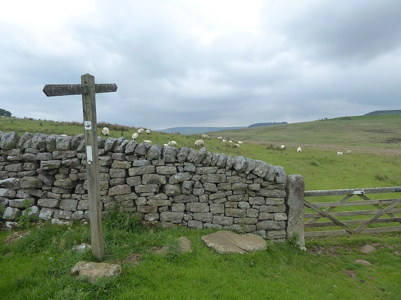 Pennine Way marker - geograph.org.uk, Northumberland