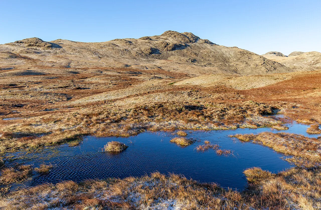 Small bog near Cold Pike, Lake District, England