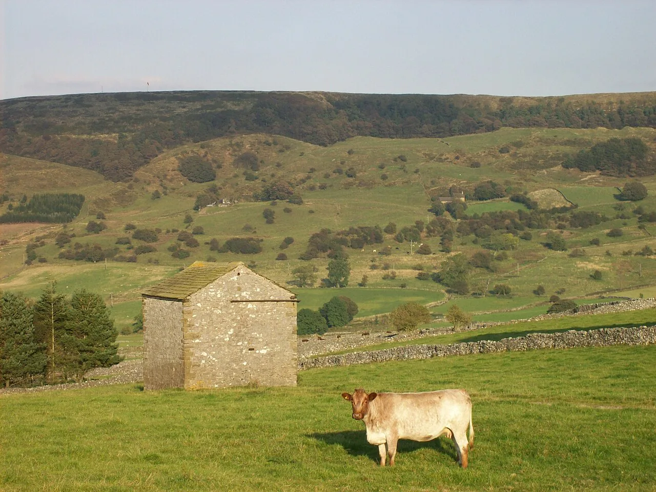 Peak district, near Sparrowpit