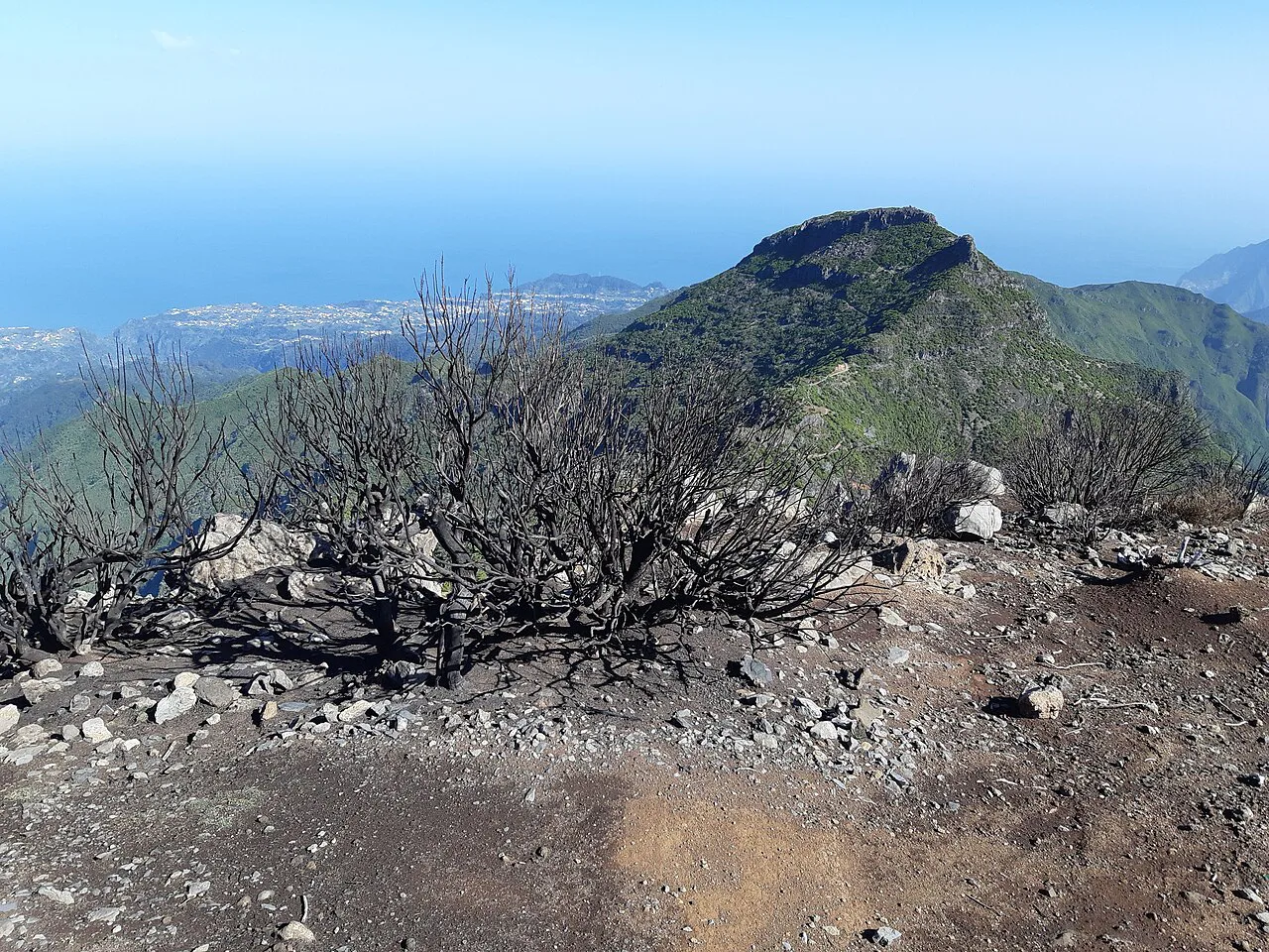 Madeira-Santana-burned near Pico Ruivo-hiking trail PR 1-2 (last part)-08ESD