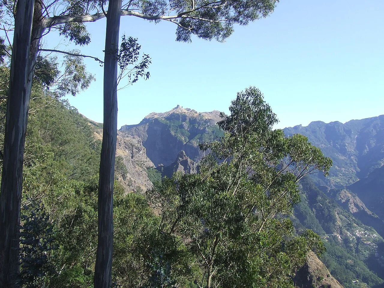 Madeira - Mountain Jeep Safari