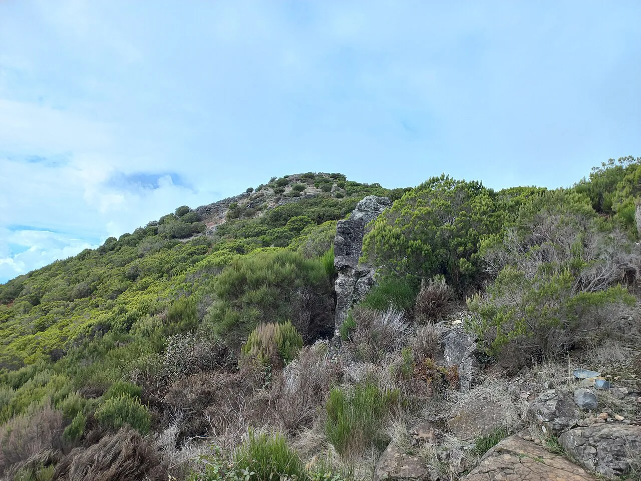 Madeira-Pico Rabacal-Levada Paul da Serra-hiking path (PR6.5)-01ASD