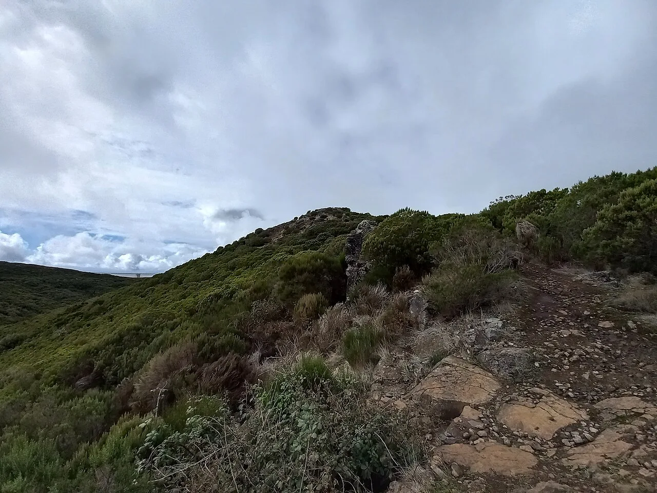 Madeira-Pico Rabacal-Levada Paul da Serra-hiking path (PR6.5)-02ASD