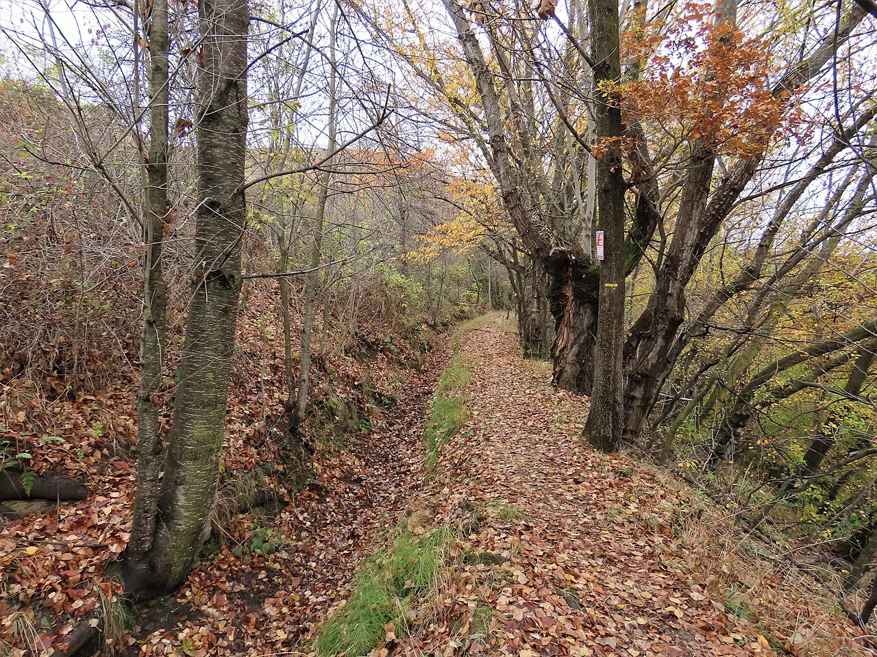 Bief @ Ur, Pyrenees