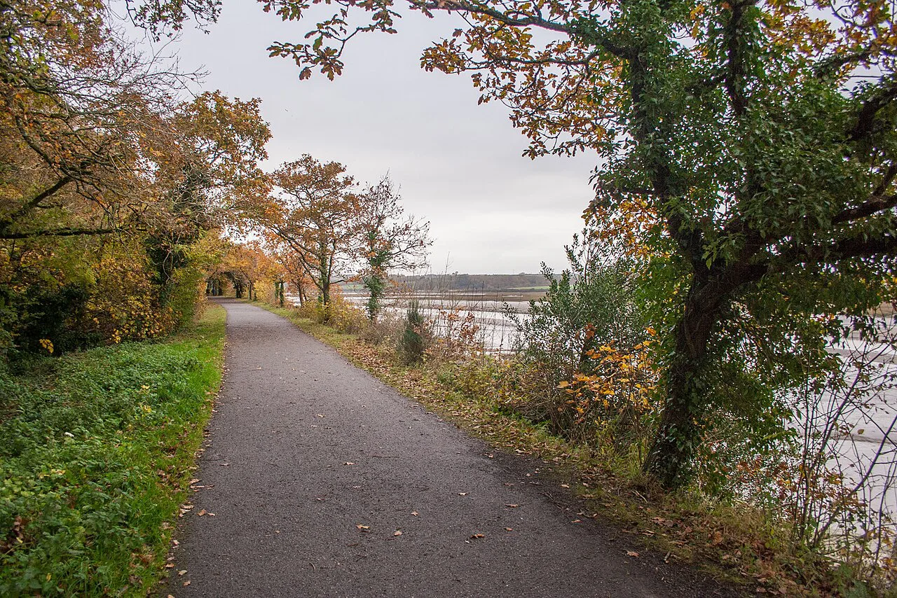 Camel Trail - geograph.org.uk, Cornwall