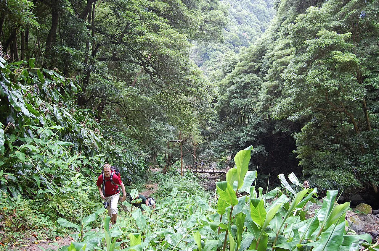 Treking to Salto do Prego from Faial da Terra, Azores
