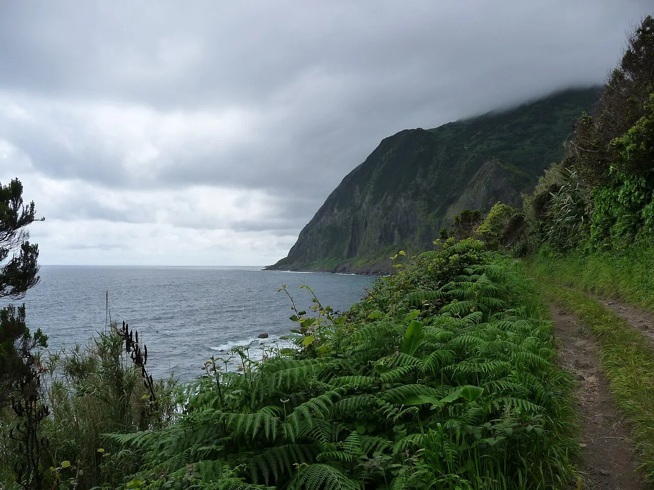 Hiking trail Caldeira de Cima (São Jorge, Azores)