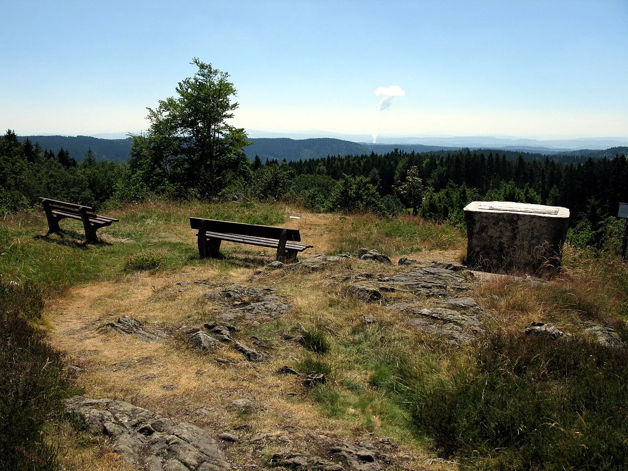 Alpenpanorama Horbach in Dachsberg am Schluchtensteig, Black Forest