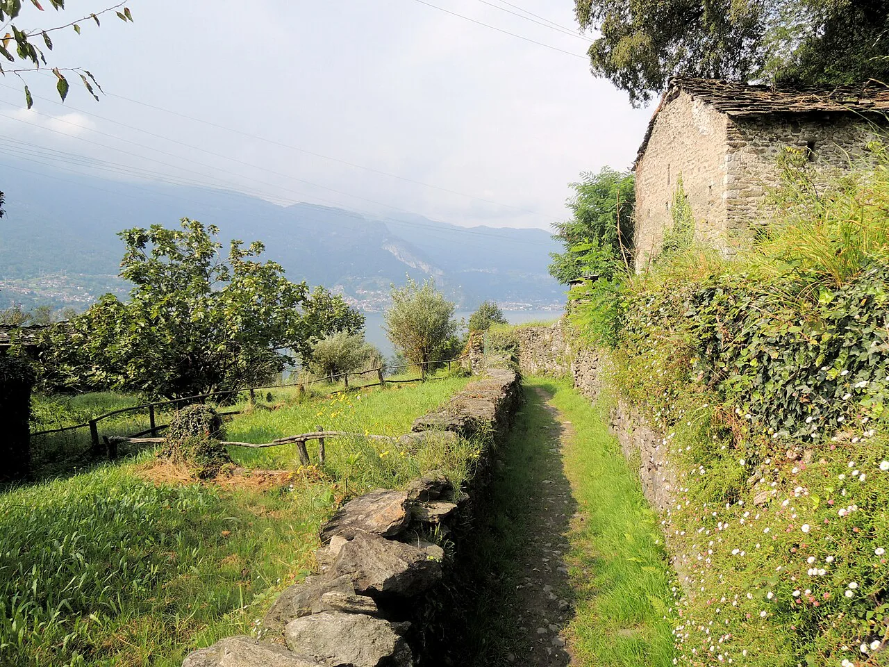 Corenno Plinio Sentiero del Viandante, Lake Como