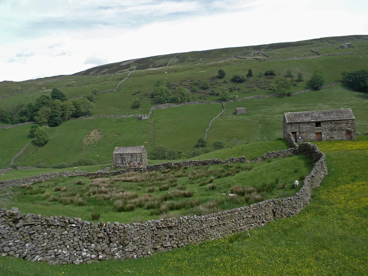 Dales Landscape, Yorkshire Dales