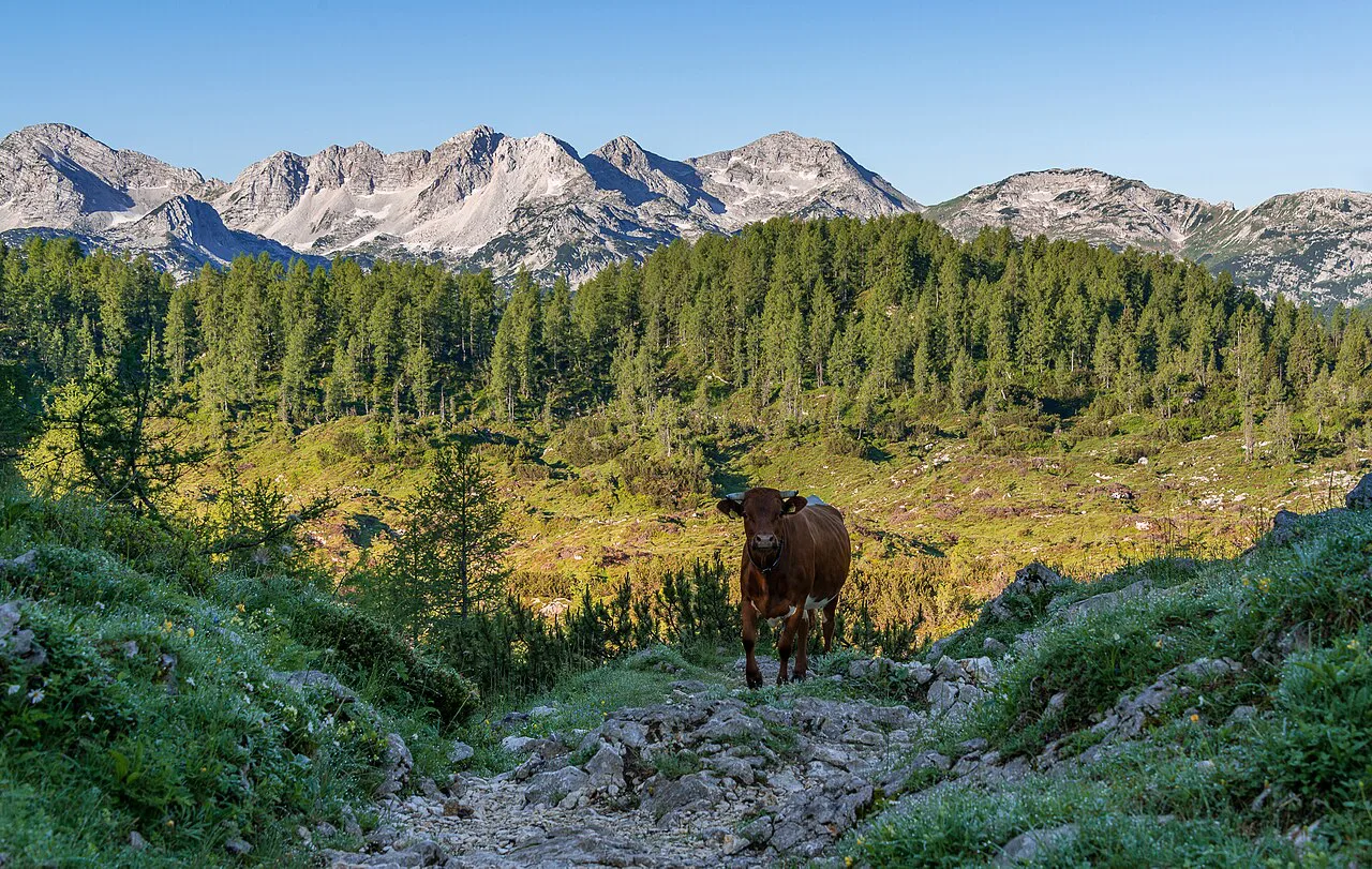 Julian Alps, Slovenia