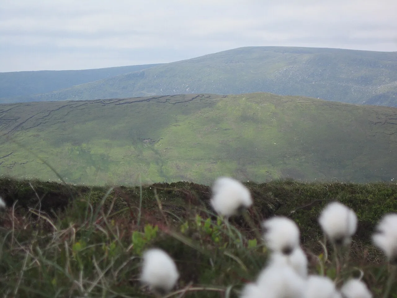 Mountains near Glendalough, Ireland