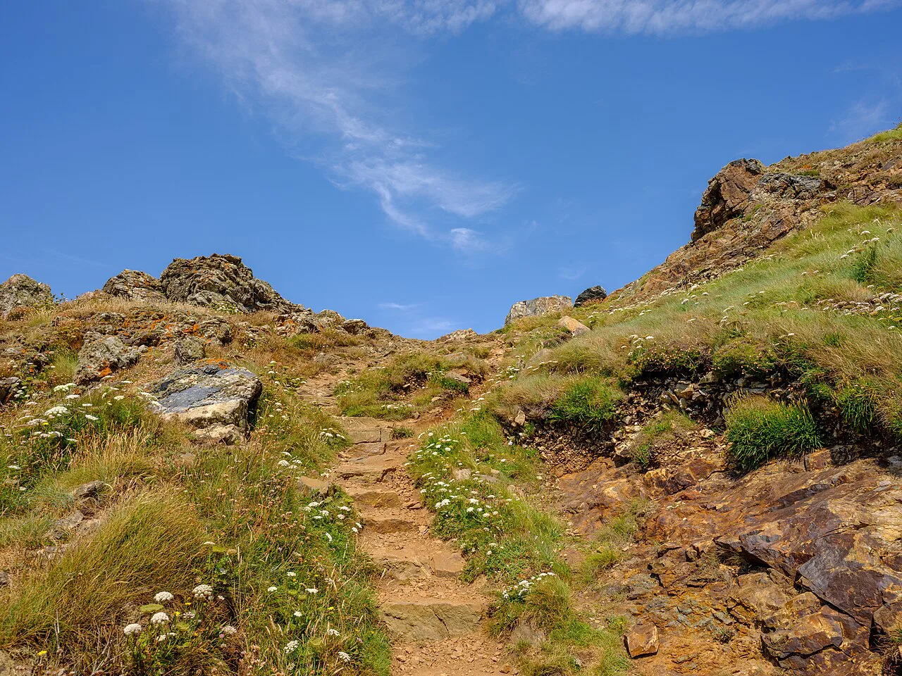 South West Coast Path July, Cornwall