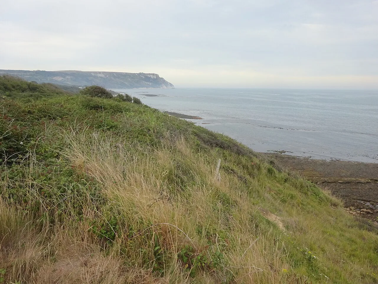 White Nothe in the distance from the South West Coast Path, Dorset, Jurassic Coast
