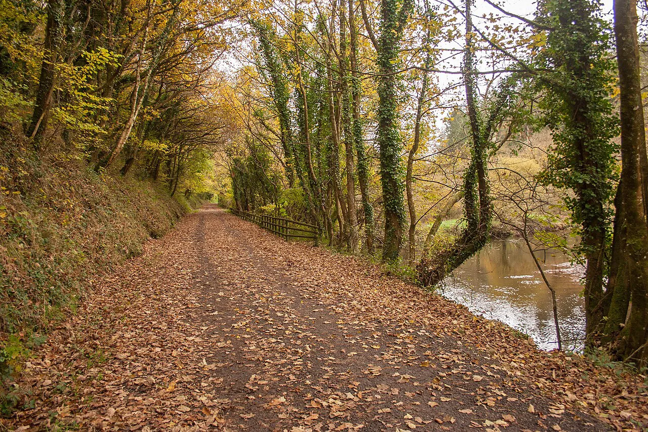 Camel Trail - geograph.org.uk, Cornwall