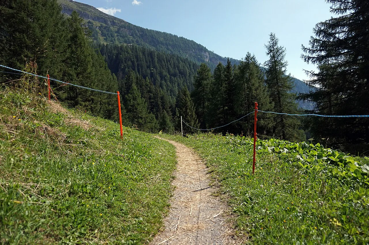 Path between electric fences, Switzerland