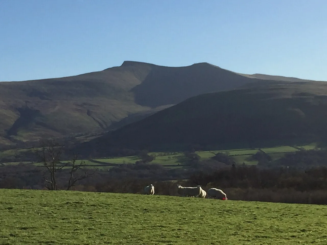 Pasture and mountain land in the Brecon Beacons