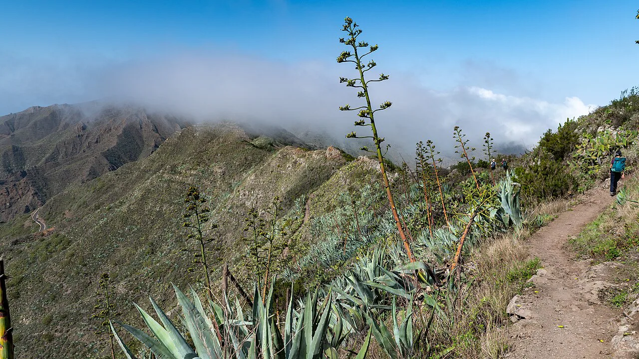 View on the hike from Santiago del Teide to Masca, Tenerife, Spain