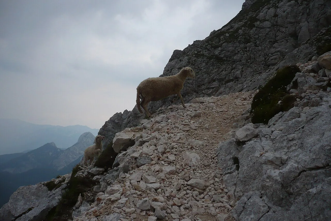 Triglav 20r, Julian Alps