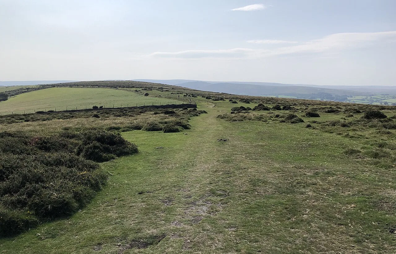 Two Moors Way near Kinghead - geograph.org.uk, Dartmoor