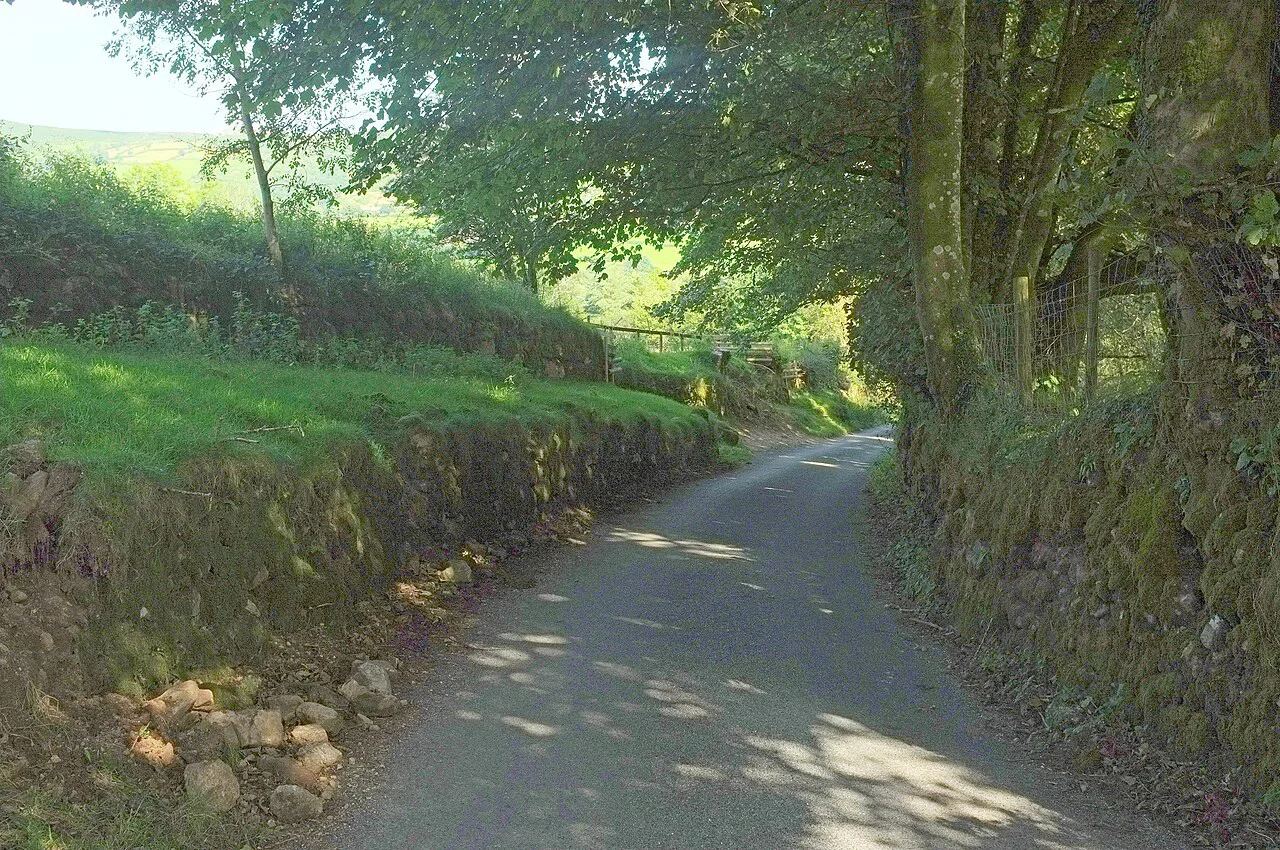 Two Moors Way near Southcombe - geograph.org.uk, Dartmoor