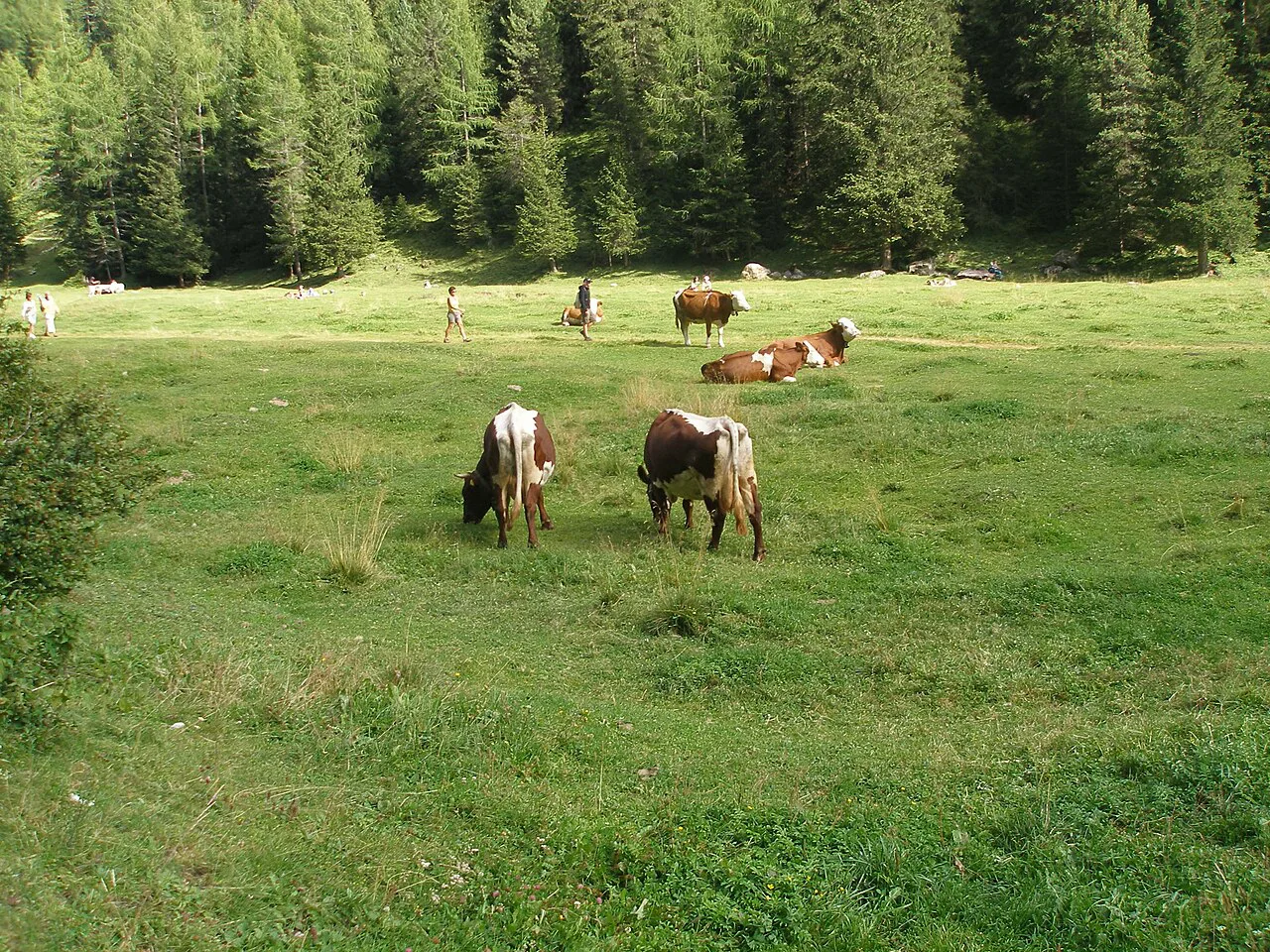 Panorama a Selva di Val Gardena