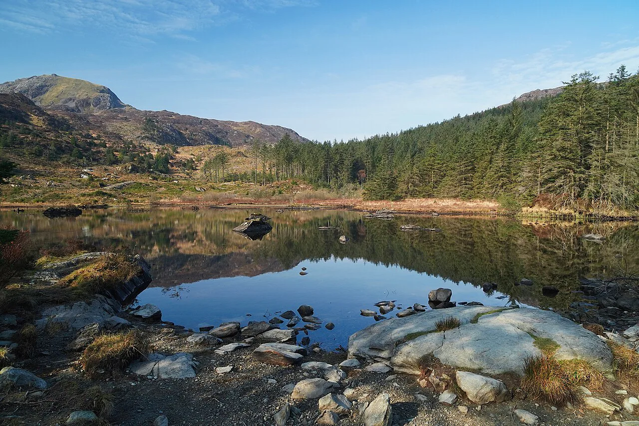 Llyn Llewelyn, Beddgelert Forest, Snowdonia National Park, Wales